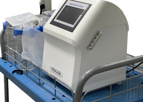 厌氧培养�pȝ���Q�怎么成�ؓ(f��)厌氧工作站的降本王牌