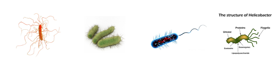 寰敓鐗╀粙緇? /><br />
</span>
</p>
<p>
<span style=